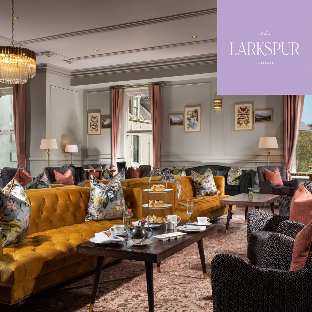 killasheehotel's tweet photo. Killashee New Chapter
Introducing The Larkspur Lounge
Discover More: https://t.co/Rbkd3zR5CR
#KillasheeNewChapter https://t.co/IXV2HZcaxZ