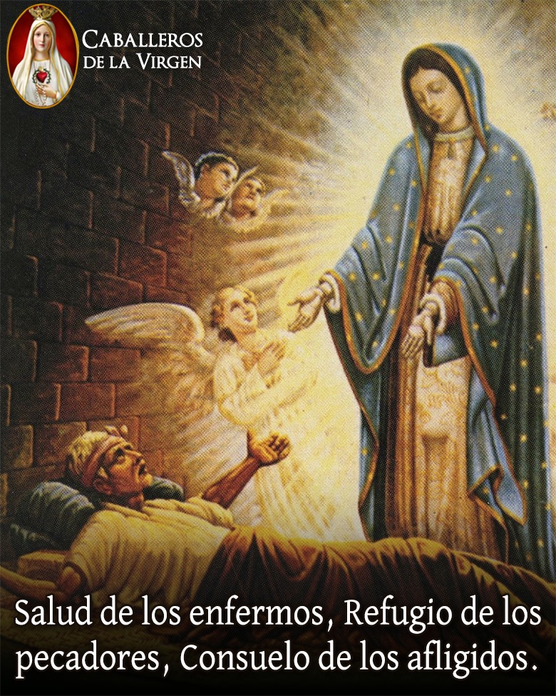 Cab_Virgen's tweet photo. Madre nuestra, acudimos a Ti para que, bajo tu protección, nos libres de esta pandemia.
Tú eres protectora de tus hijos, cúbrenos para que pase el mal y podamos ver con ojos nuevos y corazón convertido el amor de tu amado Hijo, Jesús. https://t.co/StxItM3s0G