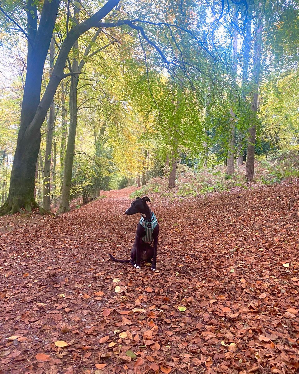 Megan 🌼 tweet media