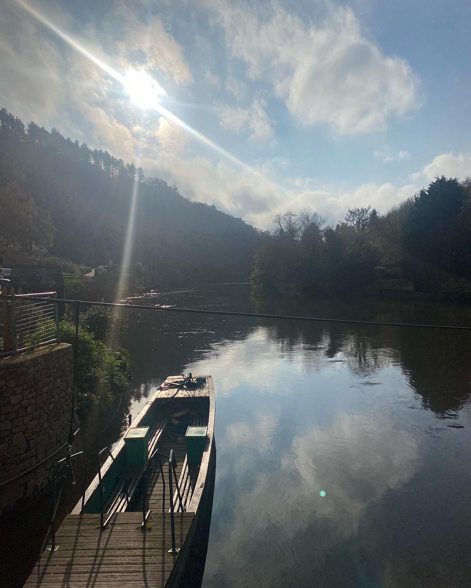 Megan 🌼 tweet media