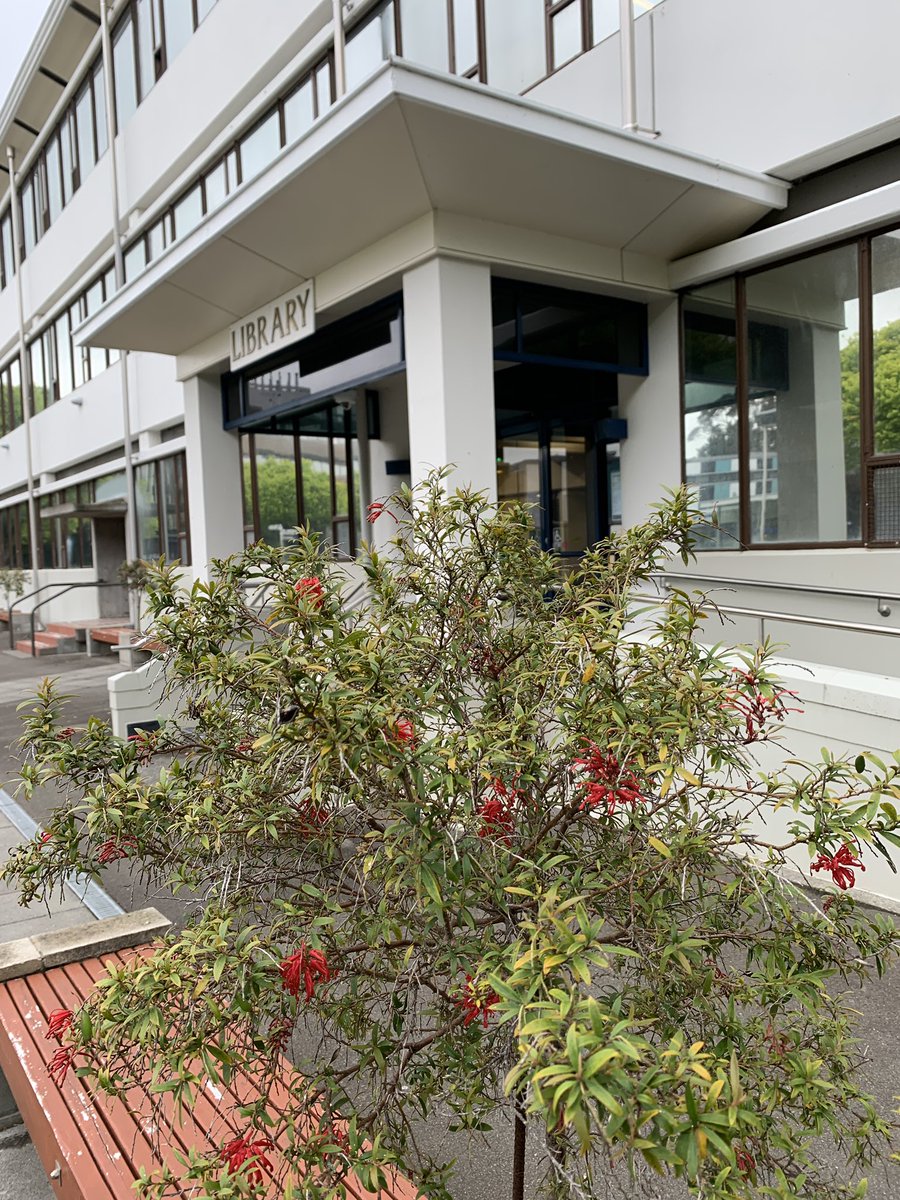 andypriestner's tweet image. Made it to Massey in Palmy. Teaching Day 1 of 3 - UX research and design. No sign of @SpankieJackzon yet. #uxtour