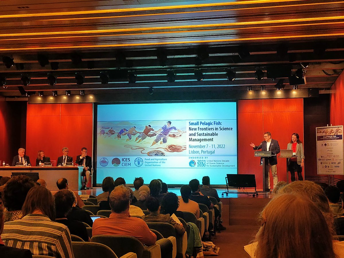 MartaAlboP's tweet photo. An amazing and intensive week at the #SPFSymposium2, and #WGSPF @ICES_ASC 
😍Super happy to see old friends and meeting new collegues🐟in great events during the conference!   🧵(1/3) https://t.co/r5Nqsz2zeJ