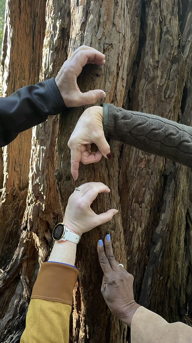 HeatherGJB's tweet image. Hey @cpcusociety — we are keeping the energy going today in the beauty of California nature. #cpcuforever #In2Risk22 @PersDevSolu @DBrown_CPCU