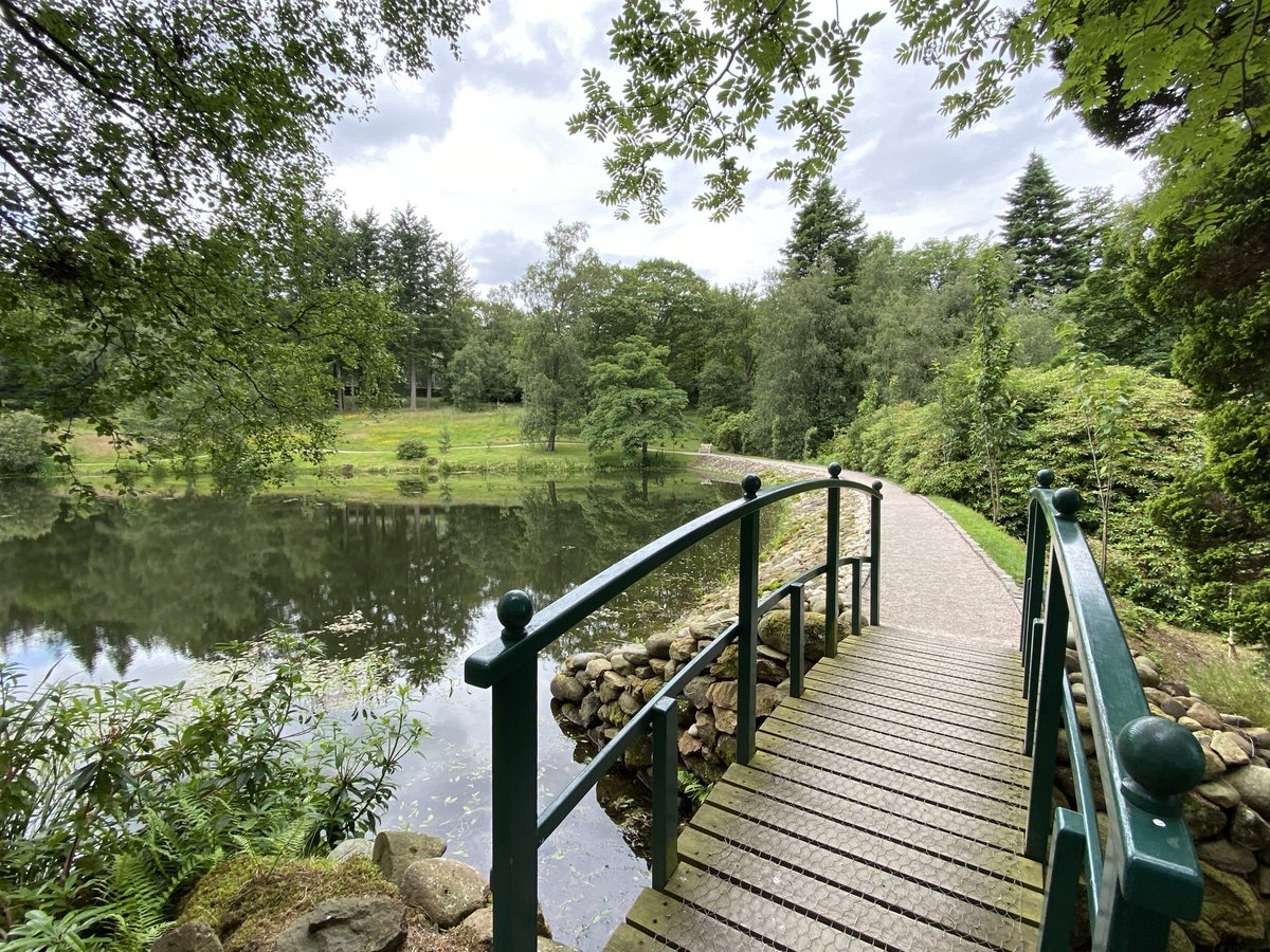 Japanese Garden @ Cowden🏴󠁧󠁢󠁳󠁣󠁴󠁿.      <a href="/ThePhotoHour/">#ThePhotoHour</a> <a href="/VisitScotland/">VisitScotland</a> @amkingphoto <a href="/andrewsp2009/">Andrew Spratt</a> @cowdengarden #beauty #beautiful #nature #photography #photographer #Scotland