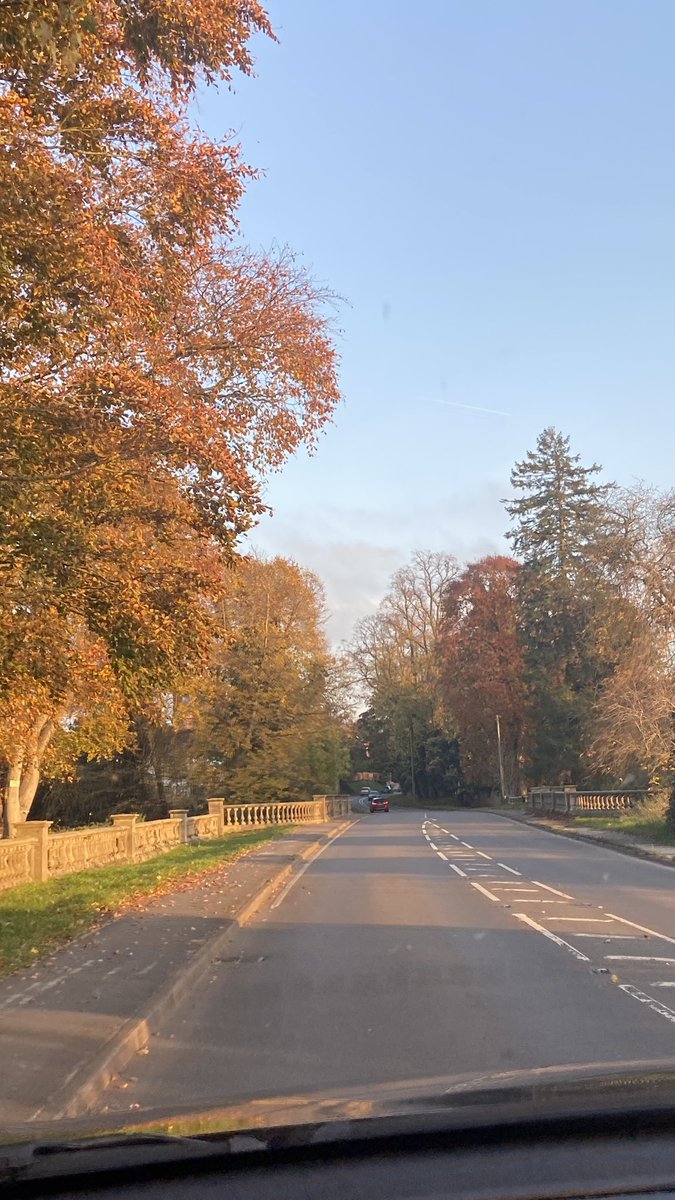 Fuzzboy_'s tweet image. Day 2 innit