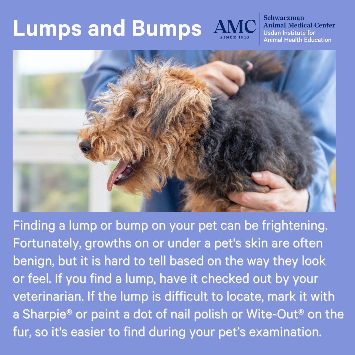 The Schwarzman Animal Medical Center tweet media