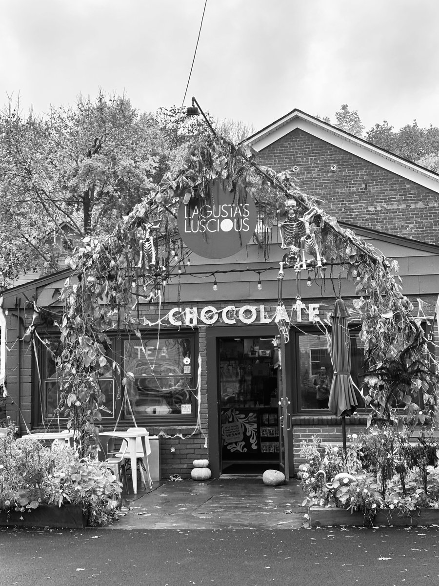 Molly Read tweet media