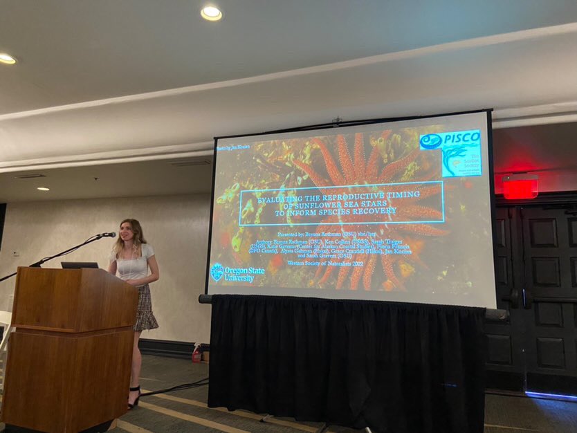 BrennaRothman's tweet photo. Managed to not pass out while giving my first talk EVER at #WSN2022 on the reproductive timing of Pycnopodia! 
Super thankful for this experience and all of the lovely people I got the chance to meet this weekend! @PiscoScience @OSUScience @SeaDocSociety https://t.co/HuG1dhgZ2F