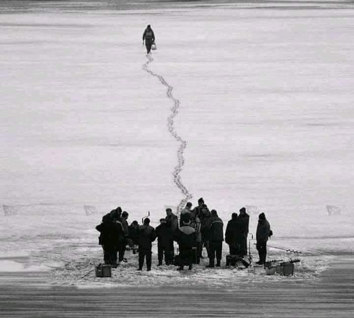 ᴄʜᴀʀʟɪᴇ ᴄʜᴀᴘʟɪɴ ® tweet media