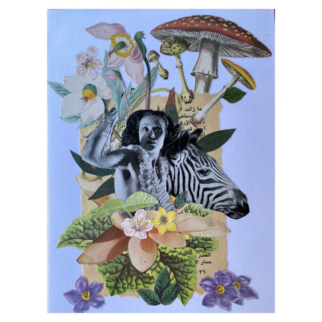 nanobadilla's tweet photo. Algunas de mis últimas composiciones en formato collage creados en su totalidad con papel reciclado de distintos puntos de Lisboa, Portugal #livrecorte #collageart #lisboa #lisbon #portugal https://t.co/aD83L0PlG2