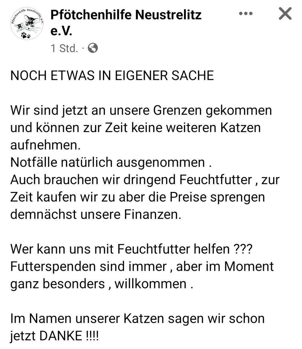 Feder Tiger (@federtiger) on Twitter photo 