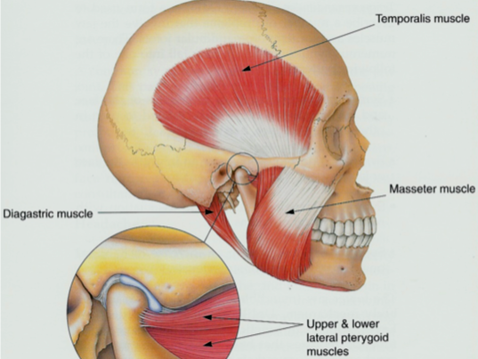 neuroconnective's tweet photo. Online Clinic Appointments Available - https://t.co/WPfJnBhSA5 https://t.co/Zrai8FW5lN