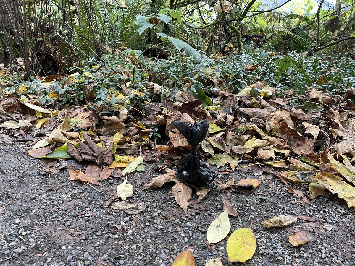 MissBarkyFace's tweet photo. Nice job bagging the poop, but you have to throw the bag away. Do better, hoomans. https://t.co/wlRQzFsOWM