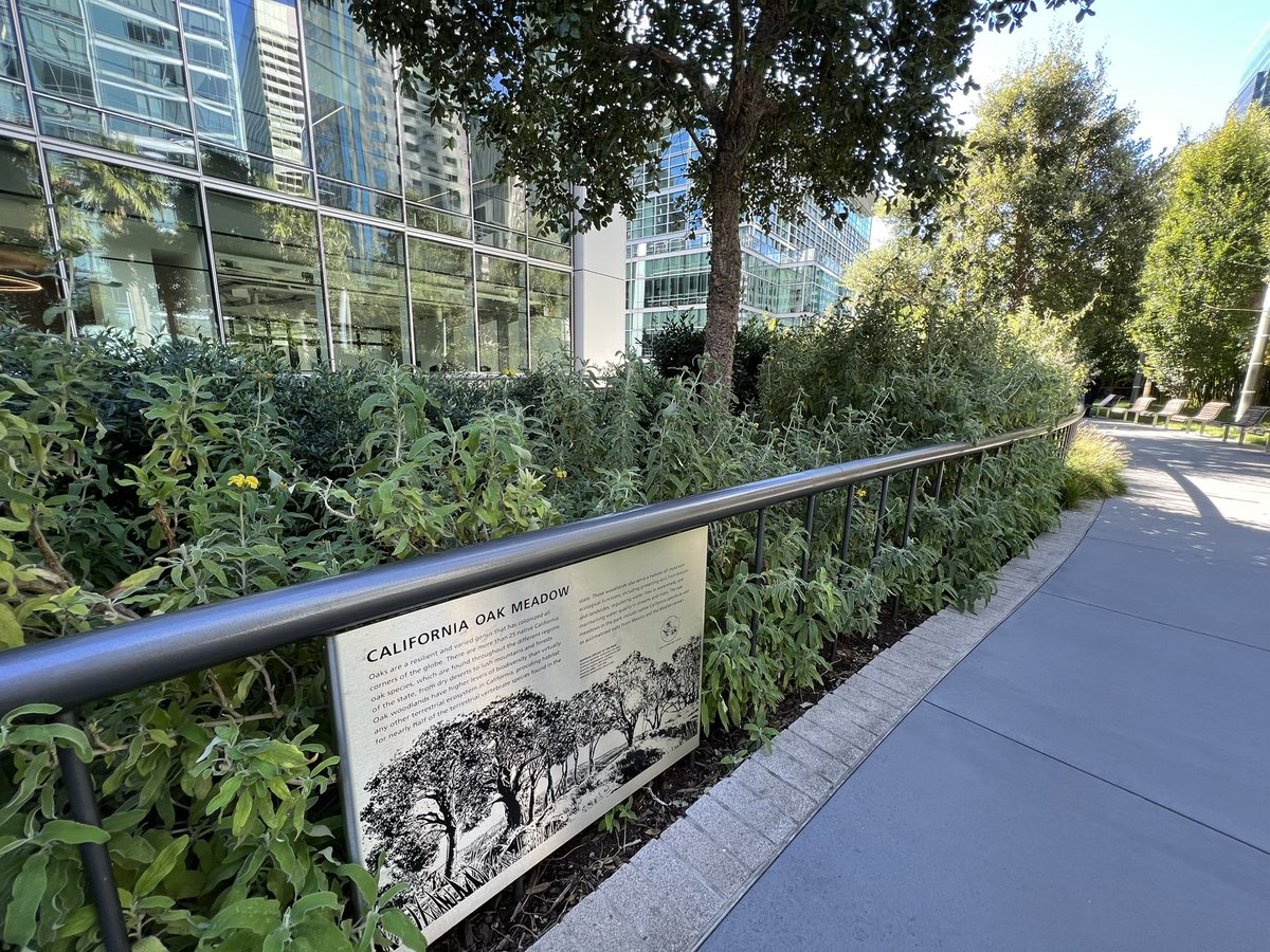 UrbanLou's tweet photo. Toured @salesforce park today. Pretty mind blowing, a forest in the sky, with a park, playground, event space and botanical garden all on top of a transit center. #asla2022 https://t.co/DE6ADo9KRk