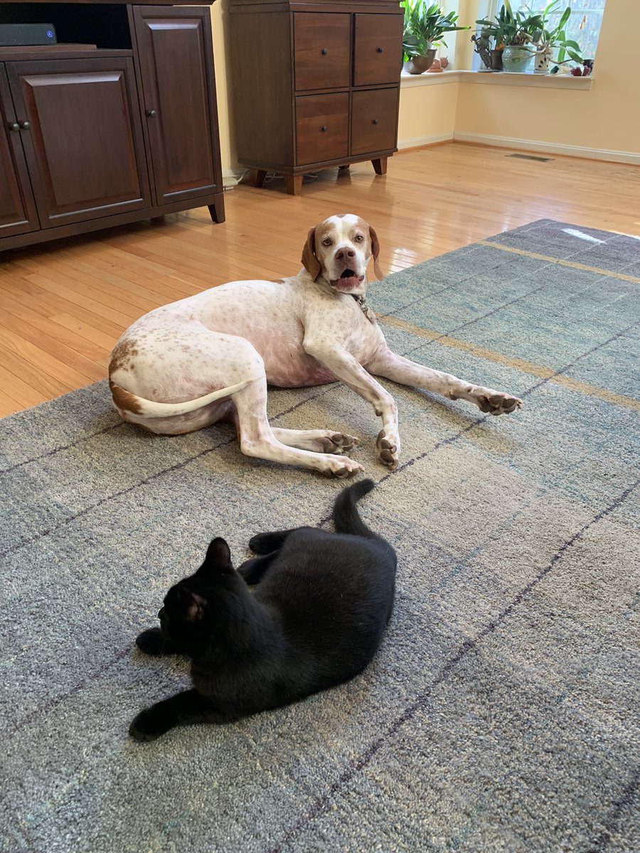 bigboypumpkin's tweet photo. hanging wif the bestie!!! https://t.co/gqw6YQq6A6