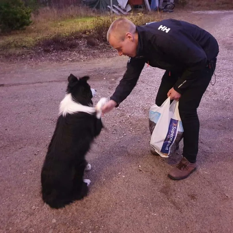 HePentt's tweet photo. Se alkoi vihdoin saunatontullakin sisäruokintakausi ja saunojat pääsee Hilda mökkiin vaihtamaan vaatteita ja suihkuun.
Pitkästä aikaa saunojia oli vastaanottamassa myös rescue patrollin jäsen
#bordercollie #timppa
#sauna
#smokesauna
#savusaunat
#saunafromfinland
#gosaimaa https://t.co/licCyFQY9L