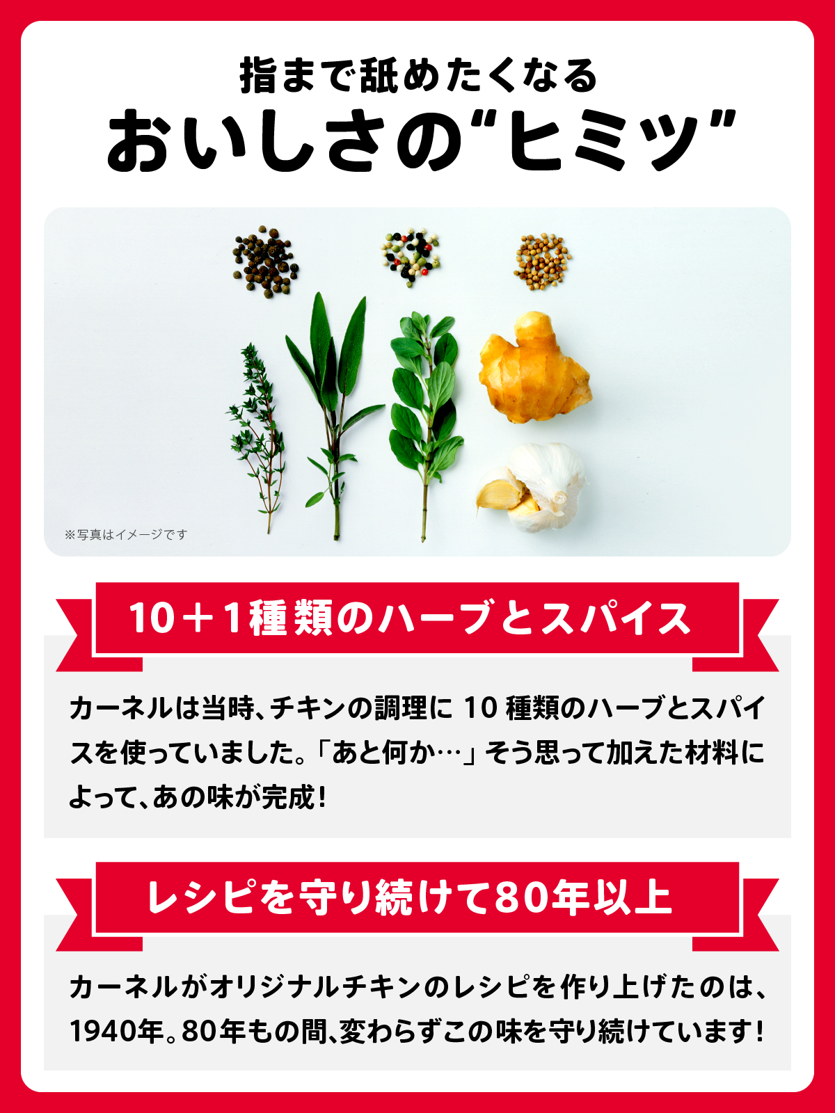 活動歴および当時の関連ビジュアル記録