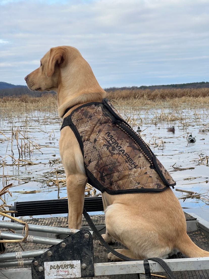 MOmarsh Versa Vest Waterfowl Dog Vest Replacement Covers, 54 OFF