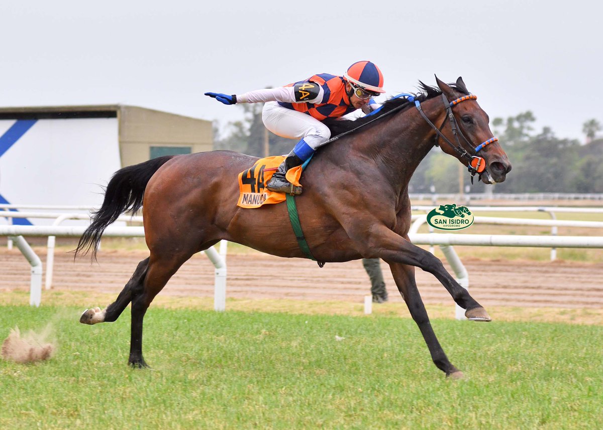 HipodromoSI's tweet photo. ✅ En el @HipodromoSI se disputó el #ClásicoCarlosRodríguez (G2 - 1600 metros), donde se impuso #Manuca (Brz., Agnes Gold), del #StudRDI, entrenada por #CarlosDanielEtchechoury y dirigida por #FranciscoLeandro. https://t.co/UJdA6i2ASV