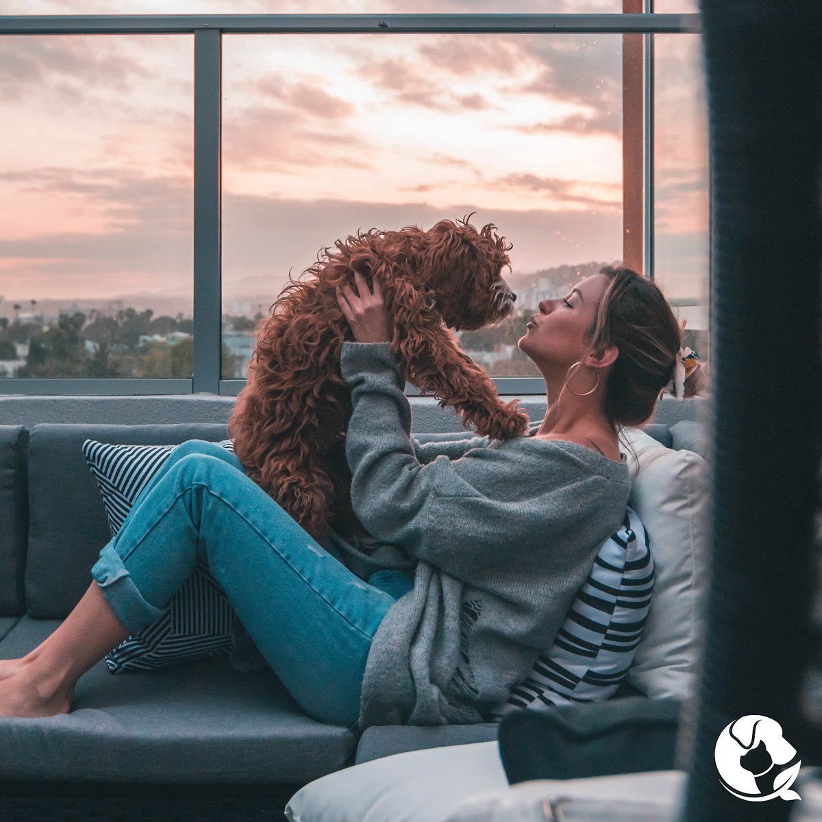 Loving your dog or cat is easy, but confidently making the best pet care choices and medical decisions for them can be dog-gone hard! We are here to help! Join the Holistic Actions family today so we can give your pet its best life...together! holisticactions.com/membership/