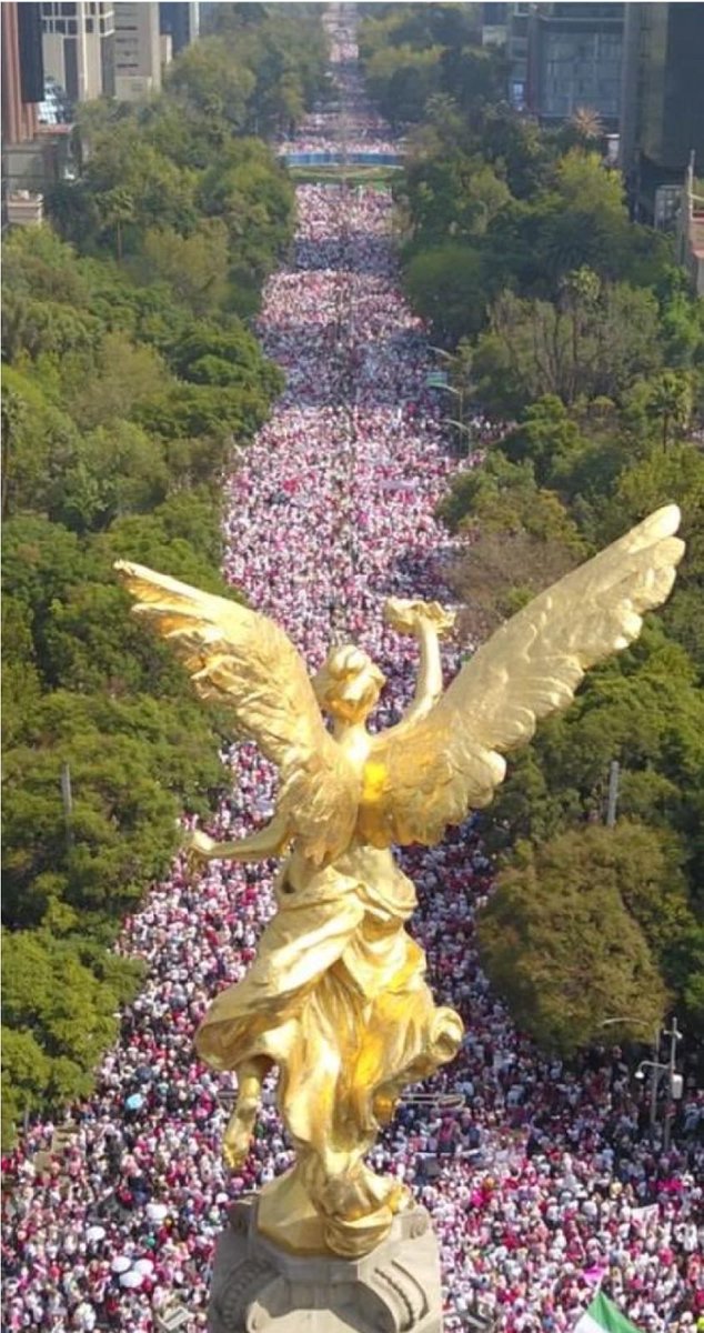 ClaudioXGG's tweet photo. Gracias México por defender tu libertad y tu democracia, y por hacerlo de manera contundente y a la vez ordenada y pacífica. Todo un ejemplo. Un gran orgullo haber participado en la marcha #ElINENoSeToca https://t.co/ZRBLugmKrA