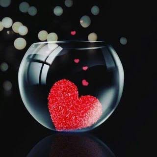 Orkiiiide25's tweet photo. لآ يگفي أن تَكون على قَيد الْحَيآة
يَجب أن تَگون على قَيد الأمَل
عَلى قَيد الحلمْ
عَلى قَيد التَفآؤلْ ★
عَلى قَيد شَيِء جَميِل سَيحصُلْ لَگك❤️ https://t.co/rHhF3jwfzn