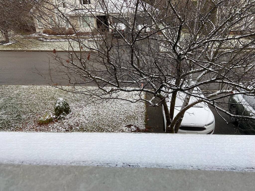 Catherine Paradis tweet media