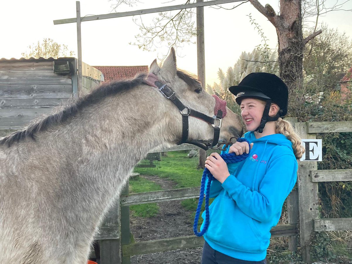 NewsEquine's tweet photo. My girls! 😍

#horselover https://t.co/zBTnAKQJp9