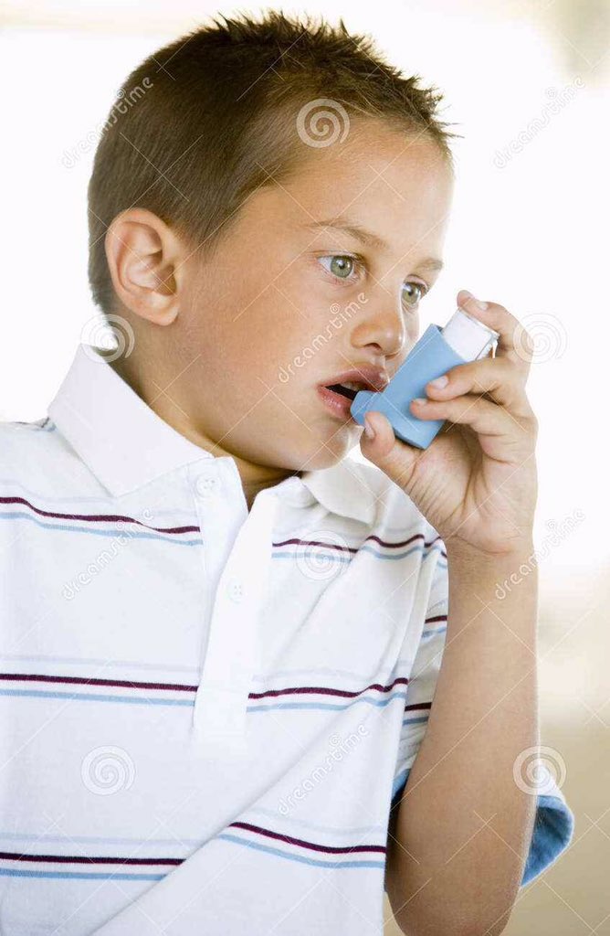 Austin Holzer tweet media