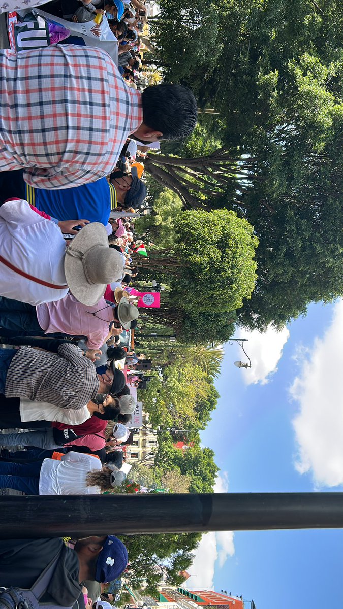 clefis's tweet photo. @ladimitrova Puebla, en el primer contingente ya en el zócalo https://t.co/Dmoboebm5g