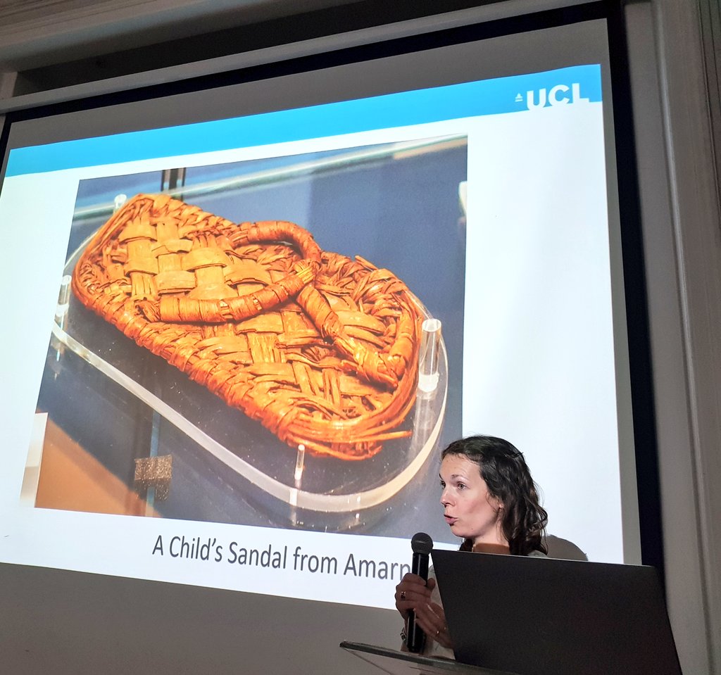 Dr Anna Garnett tweet media