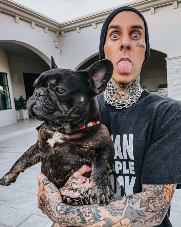 Happy 47 birthday to the Blink-182 drummer Travis Barker! 