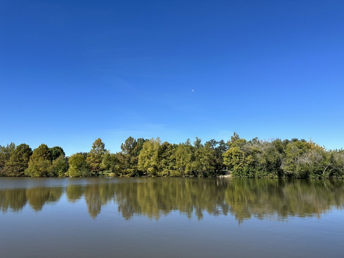 rjwissin's tweet image. 🌞🌘