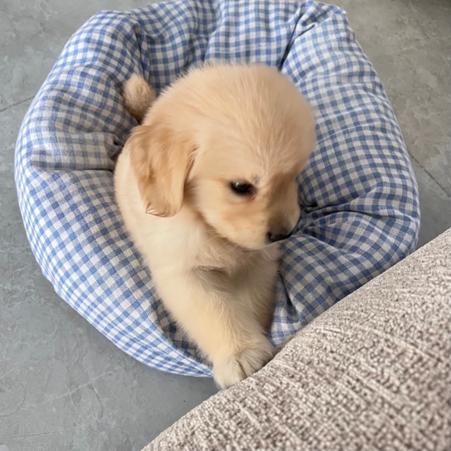 braderkasuari's tweet photo. You're so cute, right? https://t.co/tSC4SUW8w6