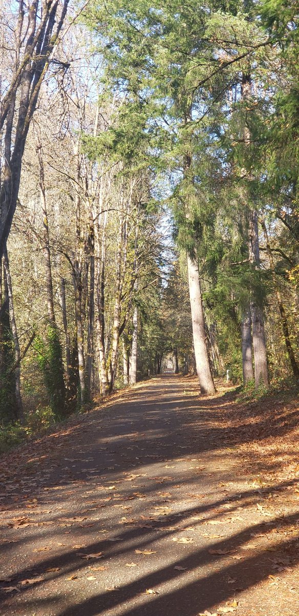 dwevanscar's tweet photo. Today's walk https://t.co/gC1N1lyFqb