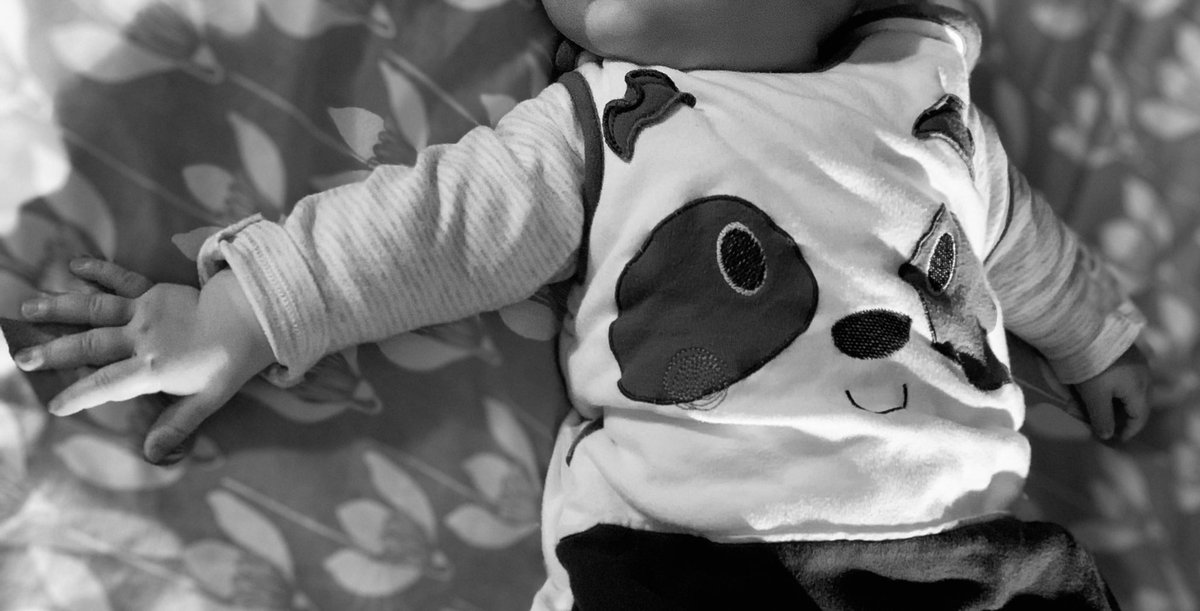 Widow in Waiting tweet media