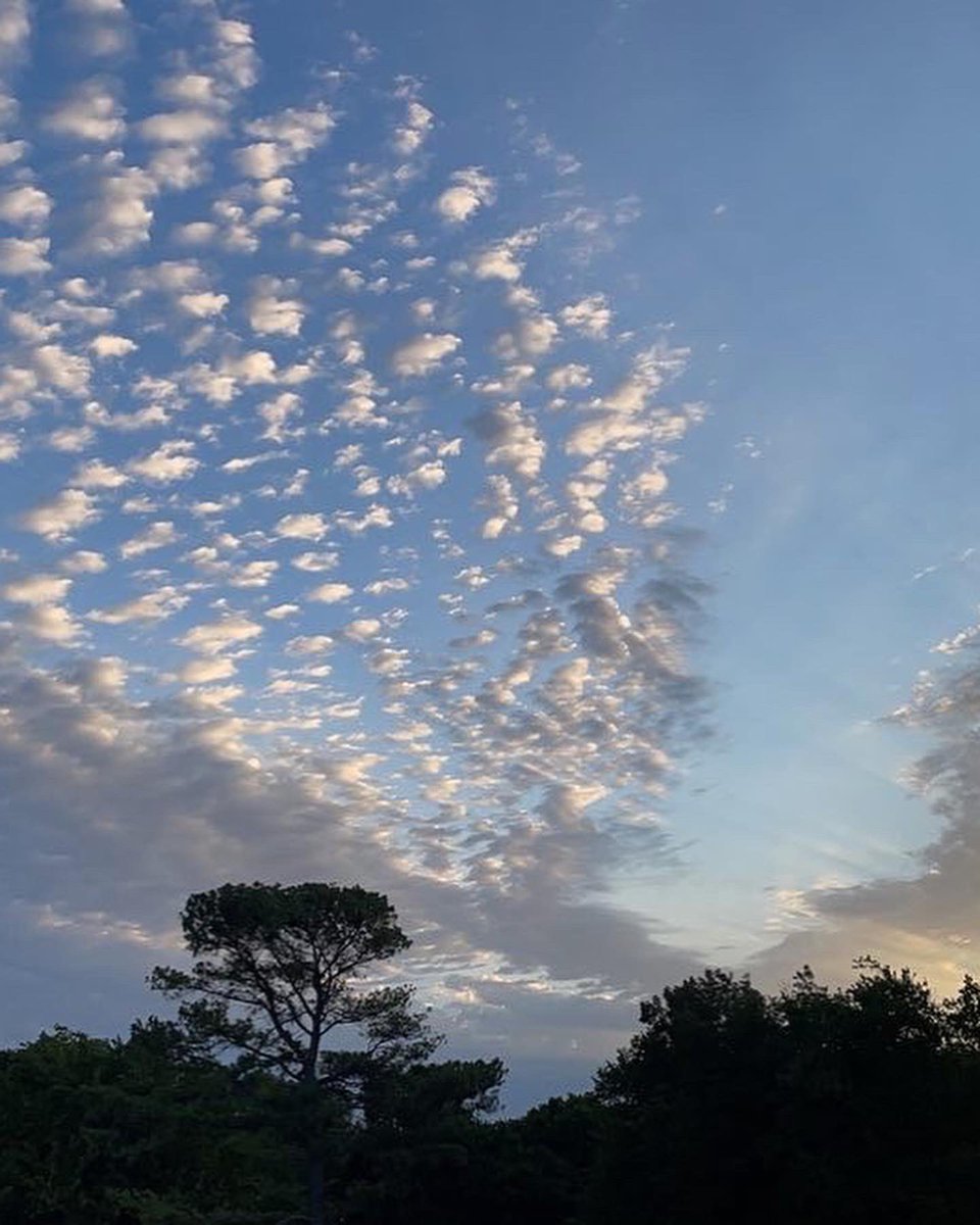 Peterman_64's tweet photo. Some of the pretty sunrises i get to see https://t.co/niLrPqJrZI
