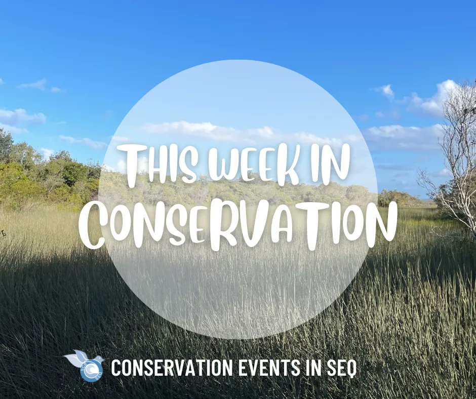 #ThisWeekinConservation Each Monday, we provide a curated list of upcoming conservation, ecology and citizen science related activities occurring throughout SEQ. Events are a great way to make new friends, learn something new and network. Find events here: buff.ly/3ennOhh
