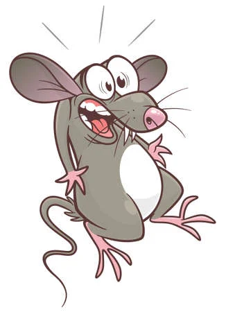 Oje der Montag steht vor der Tür 🥴🥴🥴🐀😻