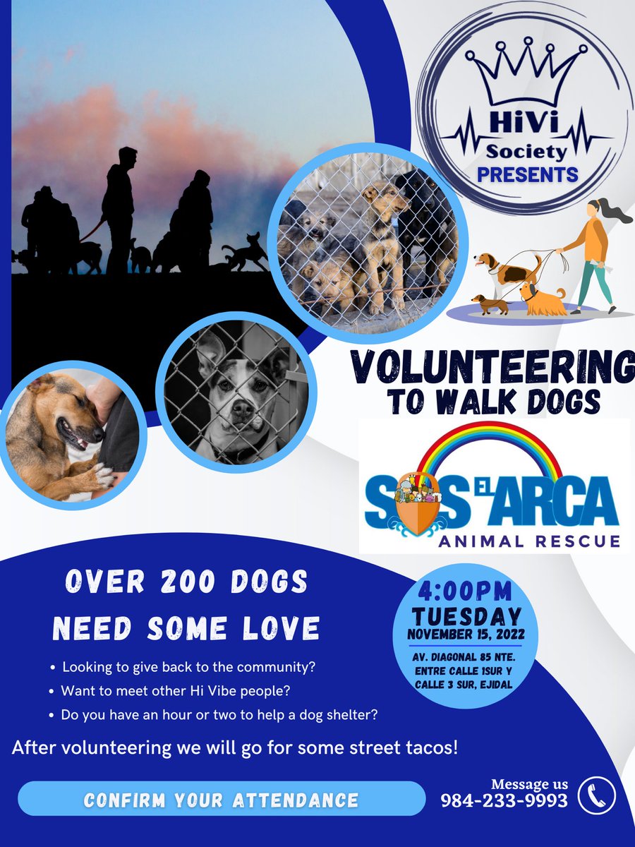 ChiFiAlpha's tweet photo. 😍This Tuesday. Taco 🌮Tuesday &amp; 🐕‍🦺🐾Dog Walking. Join Us!!! #PlayaDelCarmen #dogs #AdoptDontShop https://t.co/Fj9uEQDxoJ