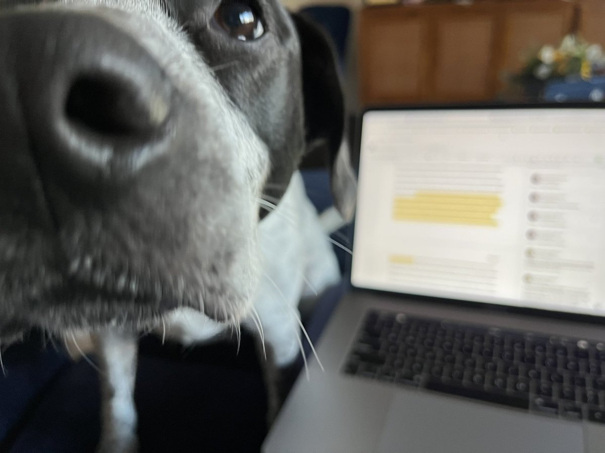 Students: why haven’t you graded our papers yet?

Me, when I try to grade your papers: