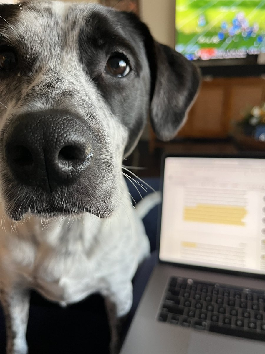 TalientoTeaches's tweet photo. Students: why haven’t you graded our papers yet?

Me, when I try to grade your papers: https://t.co/7KMJen5urk