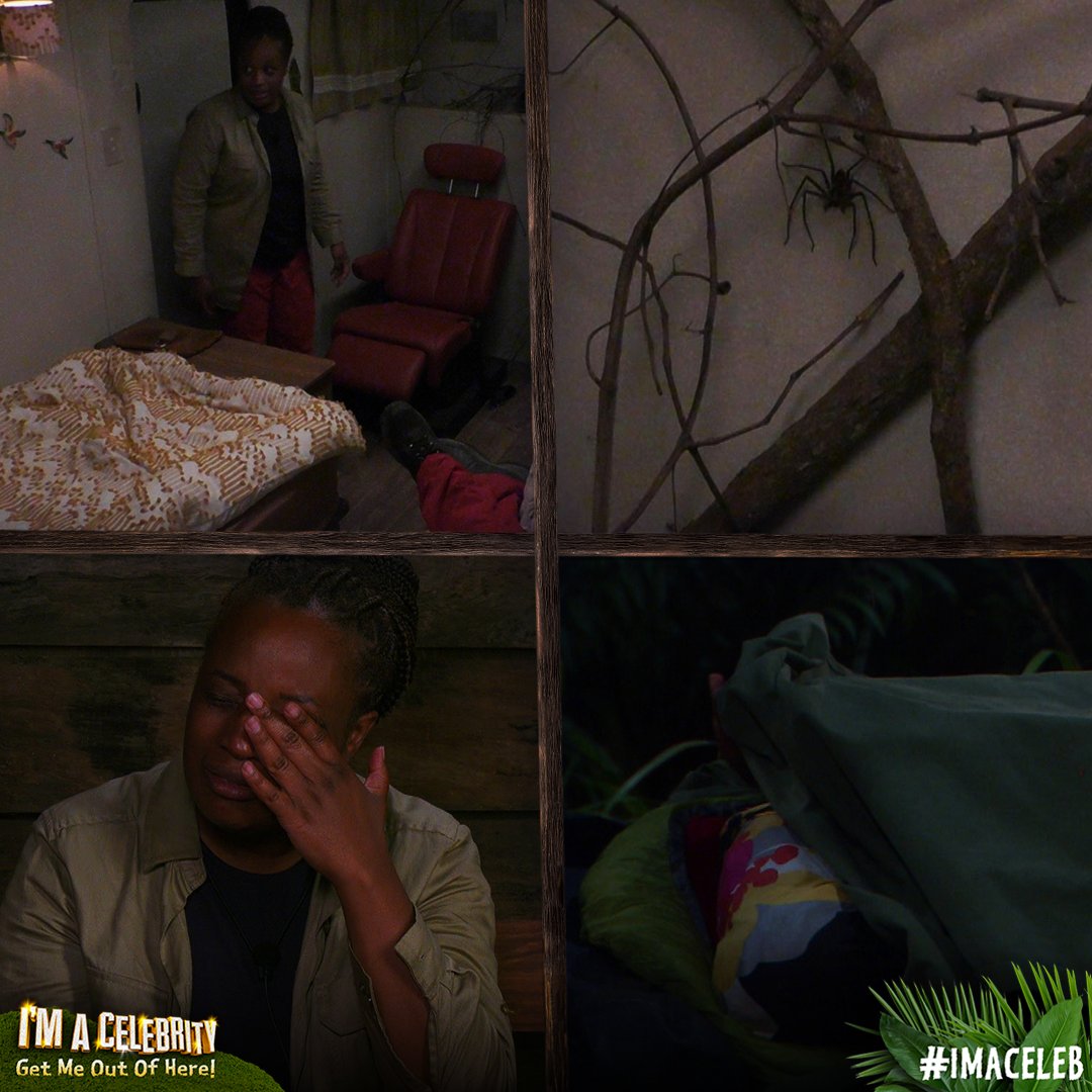 imacelebrity's tweet photo. Absolutely would not be staying in there with that thing  🕷😰 #ImACeleb https://t.co/4gspUOi1Iy