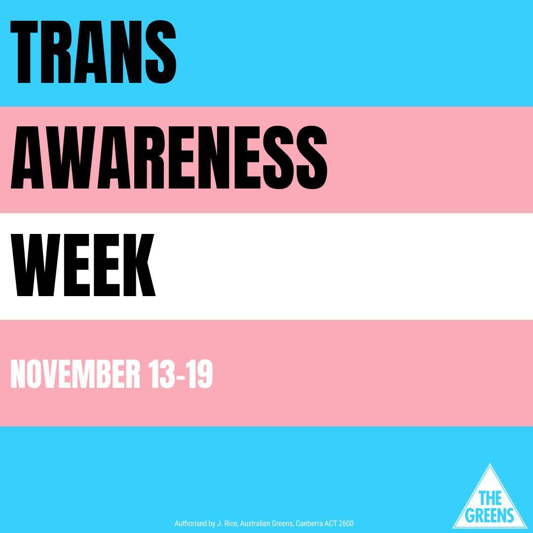 SenatorThorpe's tweet photo. 🏳️‍⚧️ IT'S TRANS AWARENESS WEEK! 🏳️‍⚧️ 
Transphobia came here with colonisation, it breaks the law of our land. Our Sistergirls, Brotherboys and all trans people are loved and respected. Get involved, get educated and show solidarity.
👉🏾 https://t.co/IRXGSe0Yth https://t.co/ir7m03MV3H