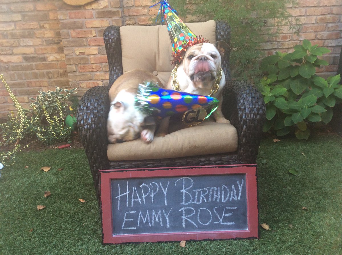 Happy 8th Birthday to the amazing Miss Emmy Rose <a href="/gloveritchey/">EmmyRose (G💗's sis) & LunaBean</a> <a href="/keithritchey/">keith ritchey</a> ….hoping you would enjoy these pictures of Fenway and me sending you birthday wishes…I wasn’t the best picture taker back then…🤣🤣🤣🎉🎉🎉🎂🎁❤️❤️❤️