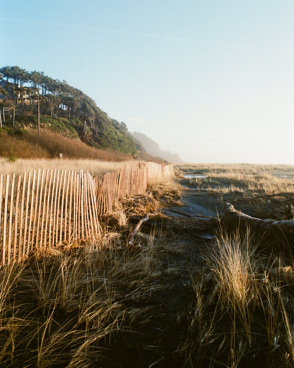 Local beaches