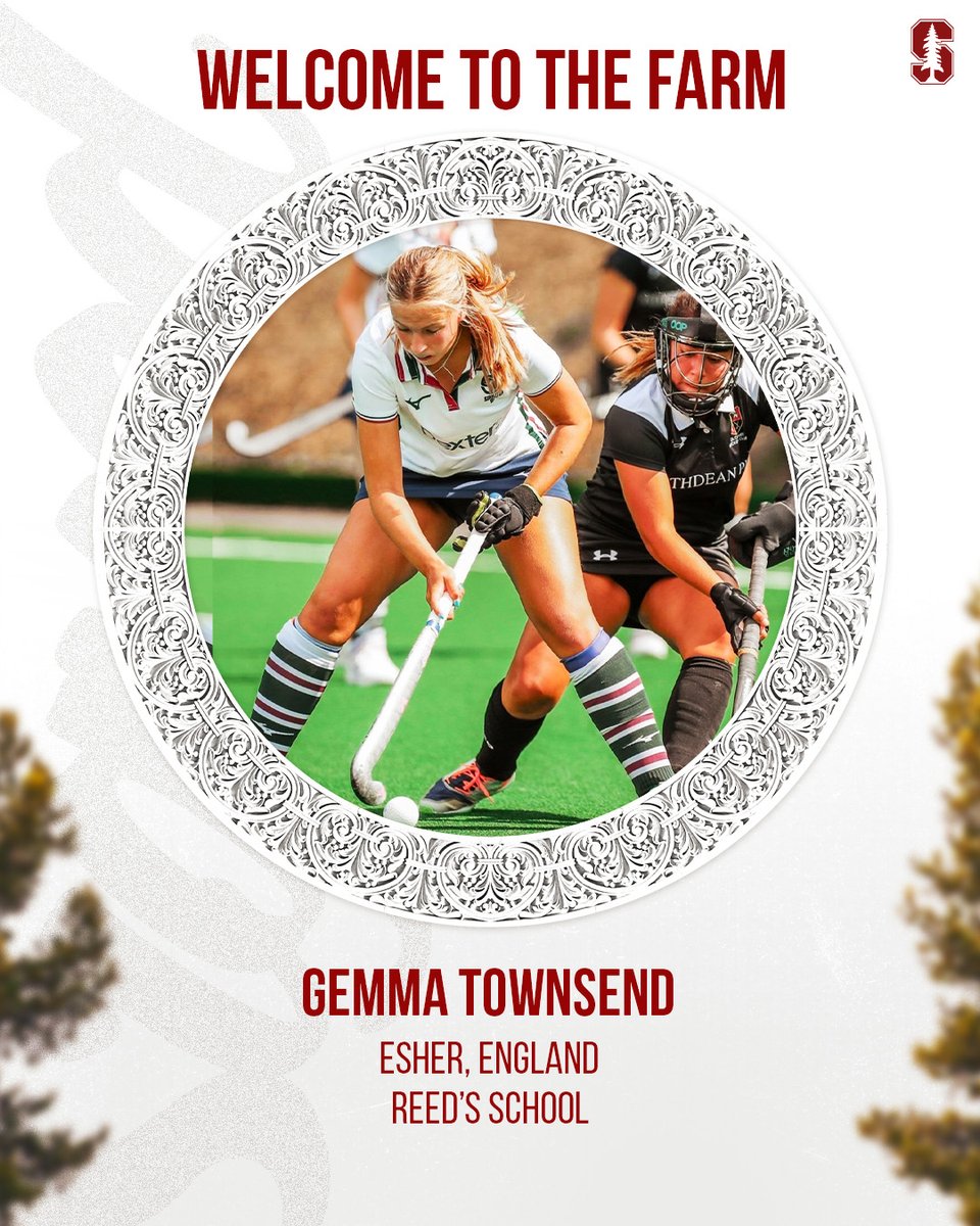Stanford Field Hockey tweet media