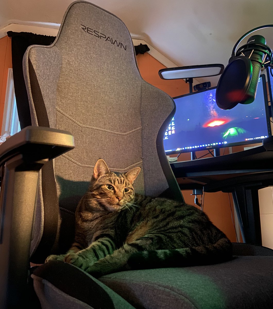 Looks like Khaleesi loves the <a href="/RESPAWNProducts/">RESPAWN 🪑</a> fabric 110 too and is keeping the seat warm for her momma🥹