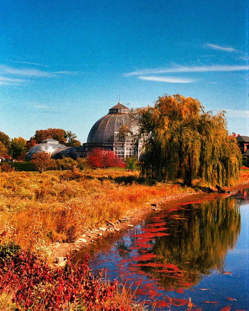 Where else can you walk by a lake on an island in a city on the river?

📸:Instagram fan shotsbyarmon

#PureMichigan #BelleIsleConservatory <a href="/visitdetroit/">Visit Detroit</a>