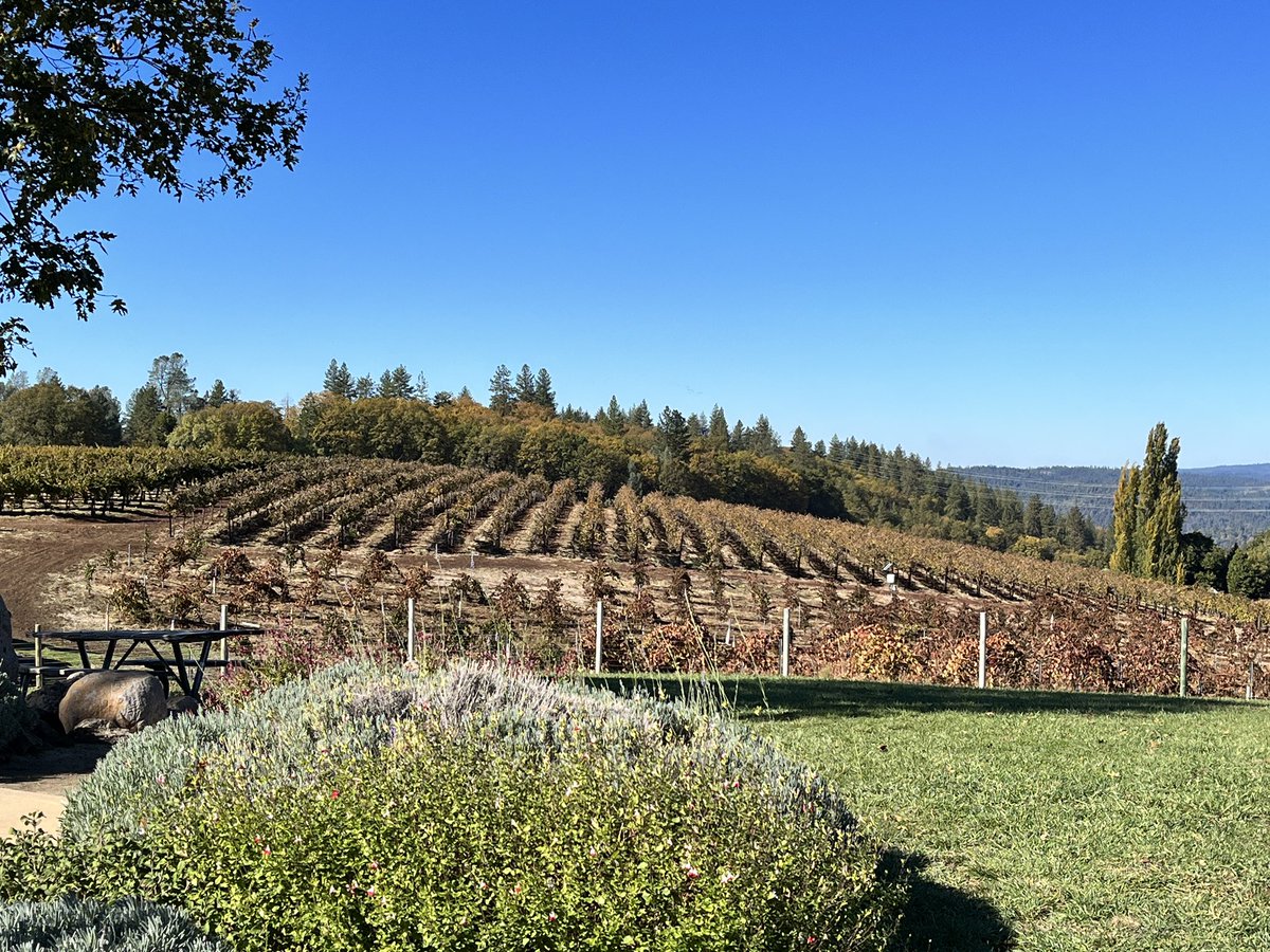 Terri Lynne Ricetti tweet media